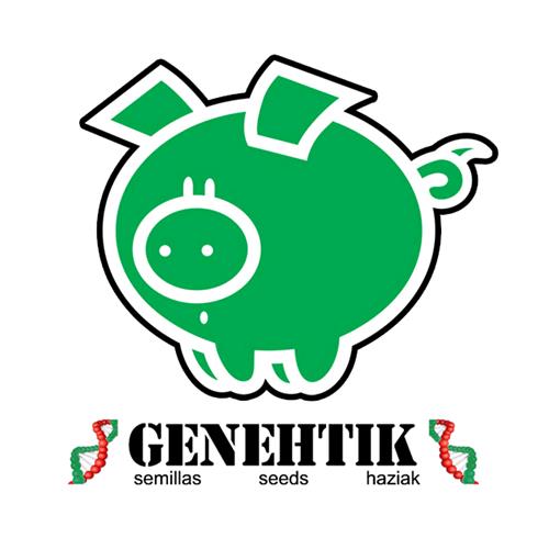 GENEHTIK - Goxuak - autofiorente 